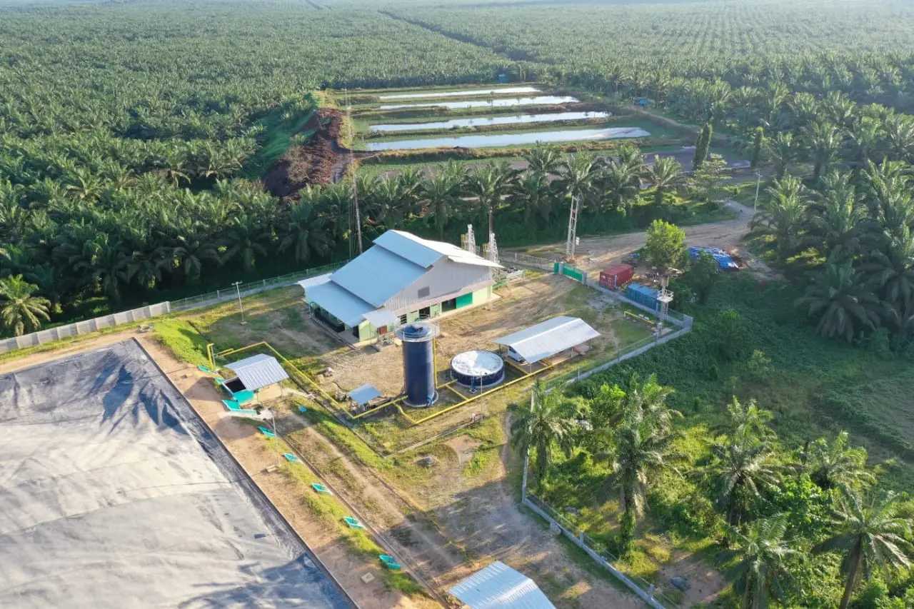 Prospek saham BWPT usai restrukturisasi dan perbaikan fundamental