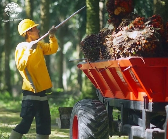 Kinerja keuangan Astra Agro Lestari (AALI) tahun 2025