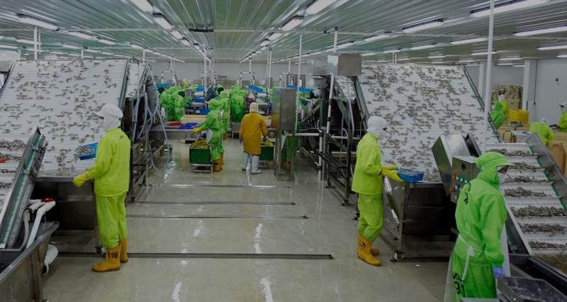 Kinerja keuangan PMMP 2025 rugi dan defisiensi modal meningkat