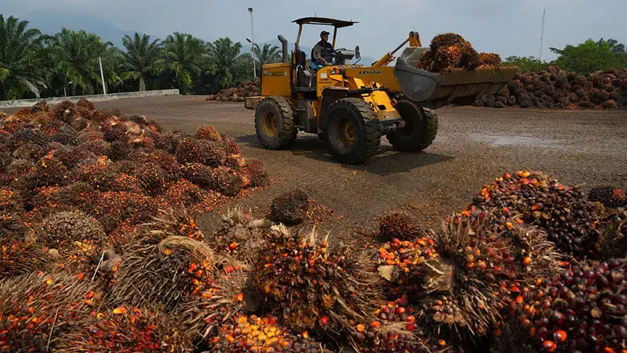 George Oetomo beli saham TAPG 150.000 lembar harga Rp1.705 insider buying Triputra Agro