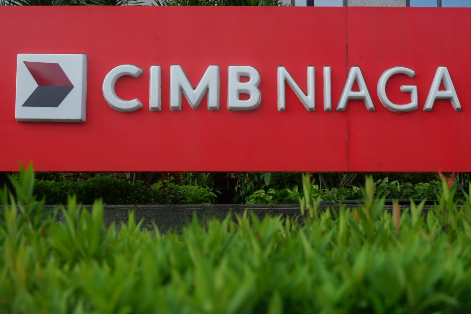 BNGA bagikan dividen tunai Rp4,07 triliun untuk tahun buku 2025 (Foto IDX)
