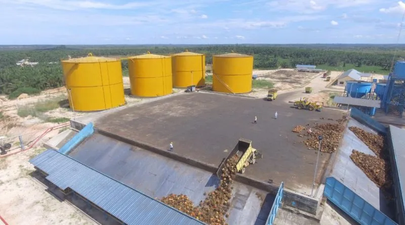Perkebunan kelapa sawit milik PT Pradiksi Gunatama Tbk (PGUN) terkait RUPSLB penyesuaian anggaran dasar